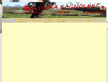 Tablet Screenshot of biobagnolese.it